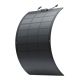 EcoFlow 100W Solar Panel (Flexible)
